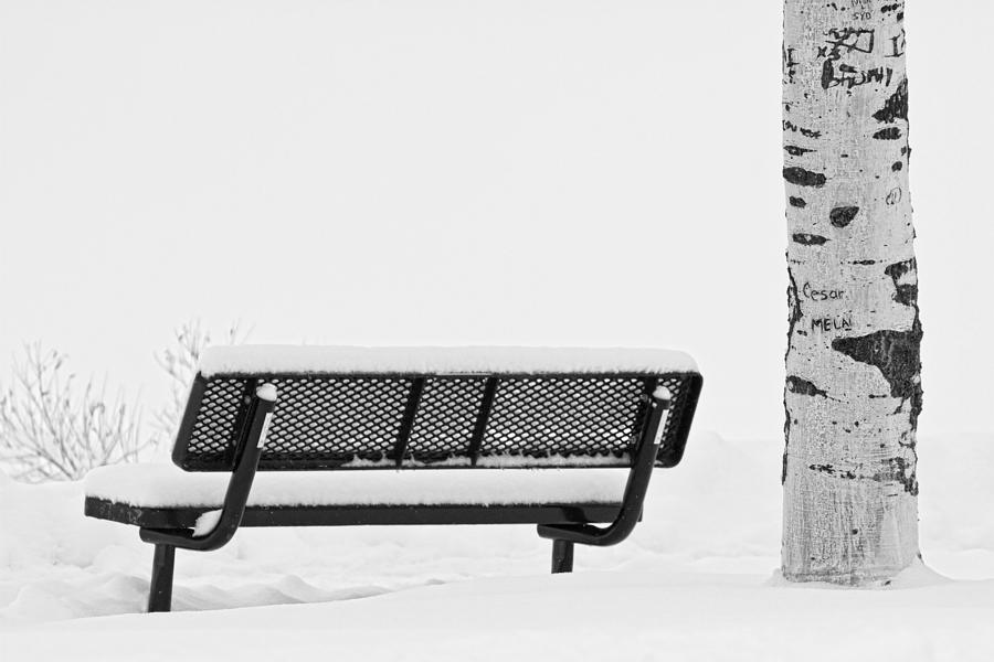 Cesar Melai Love in The Snow BW Photograph by James BO Insogna