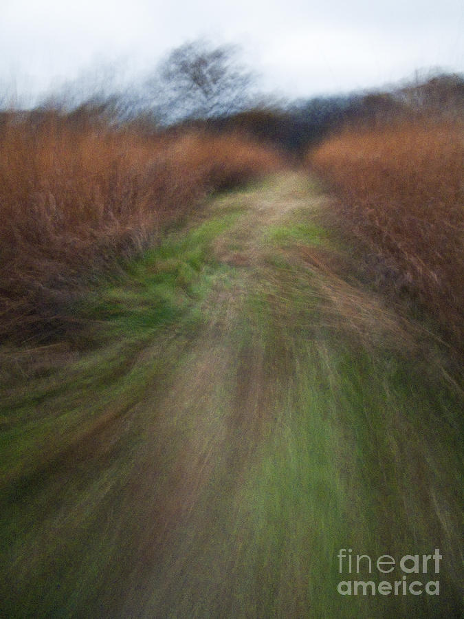 The Narrow Path - Cg10-000004 Photograph