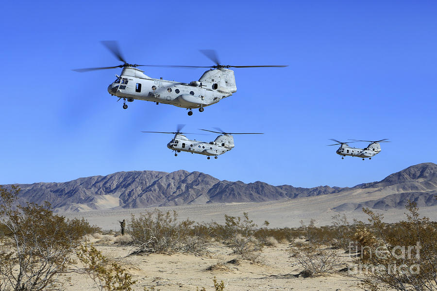 Ch-46e Sea Knight Transport Helicopters Photograph by Stocktrek Images