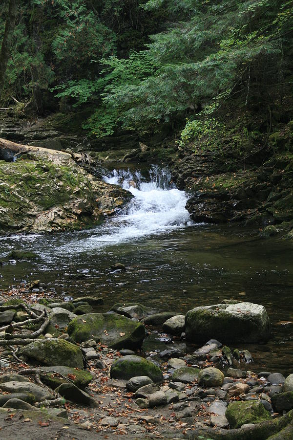 Chaffee Falls 025 Photograph by Nancy Scarcello - Fine Art America