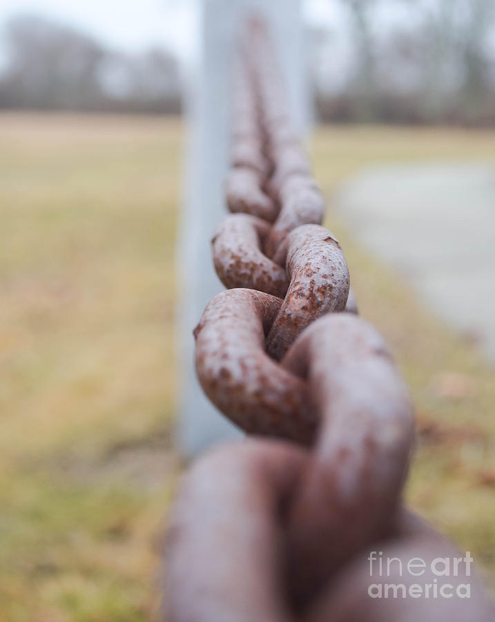 Chain  Photograph by Andrea Anderegg