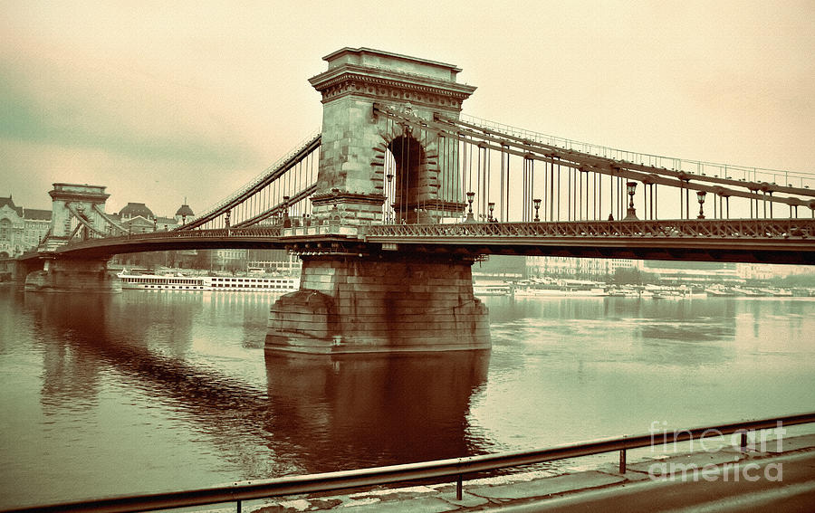 Chain bridge in Budapest Photograph by Daliana Pacuraru