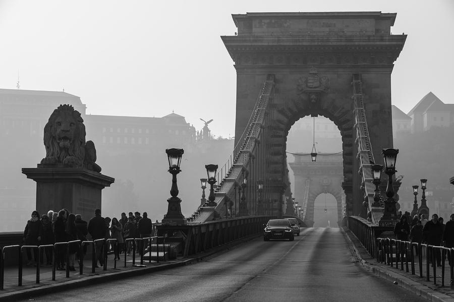 Chain Bridge with the Lion Photograph by Judith Barath
