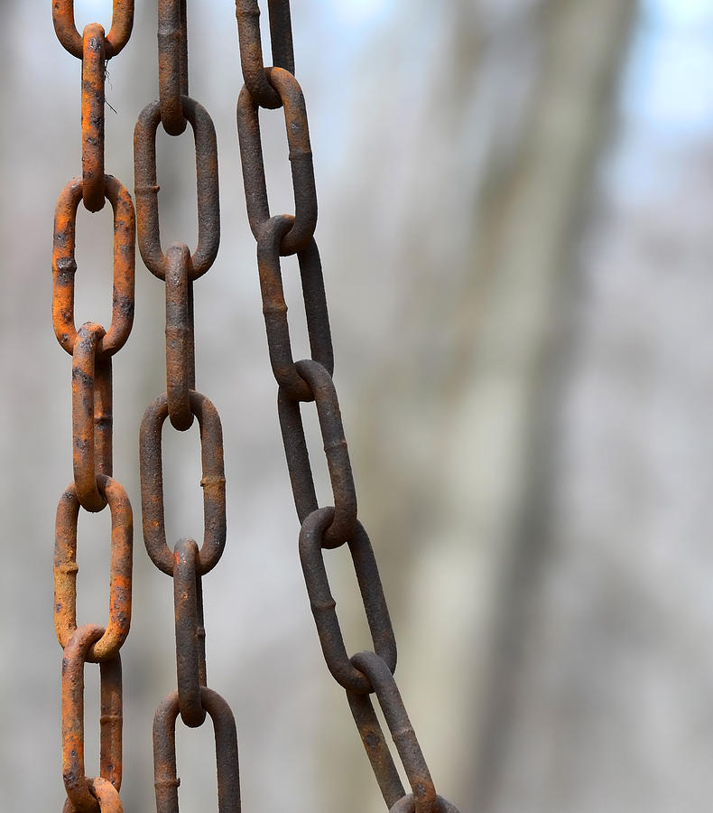 Chain Hang Photograph by Jeffrey Platt