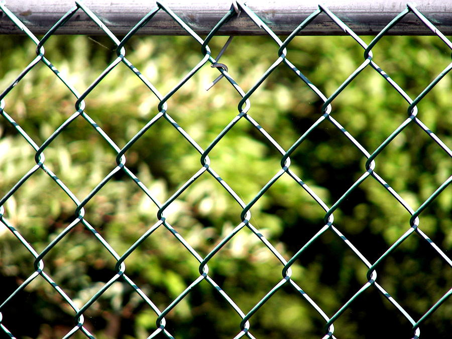 Chain Link Fence Photograph by Pamela Hyde Wilson