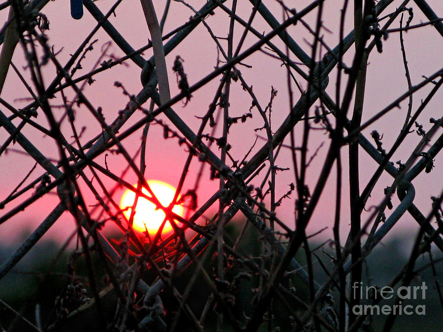 Chain Link Sunset Photograph by Jennie Breeze