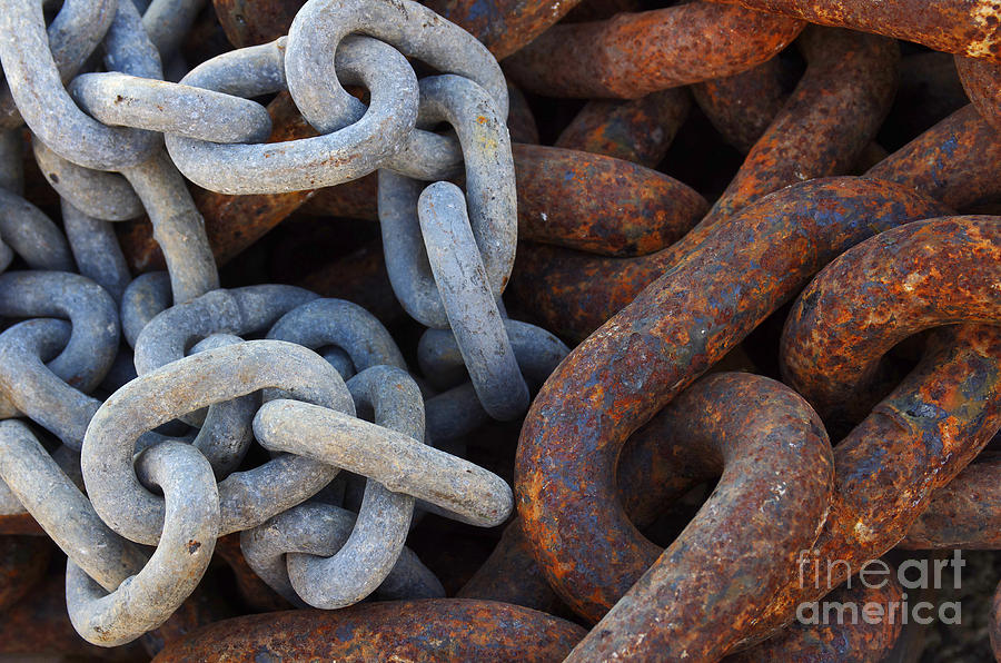Chain Links Photograph by Carlos Caetano