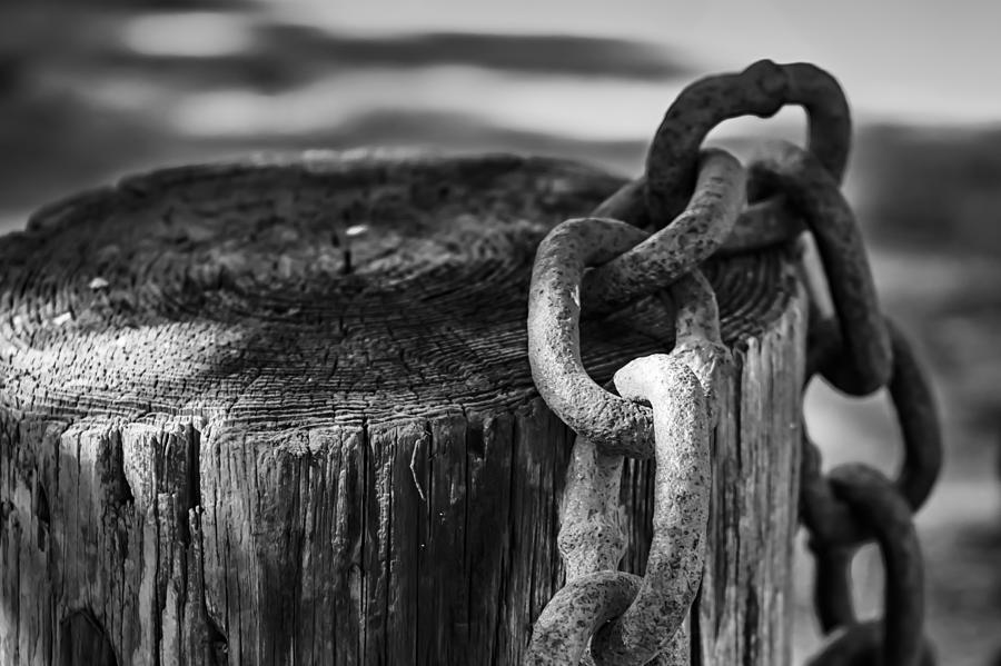 Chained... Photograph by Eduard Moldoveanu