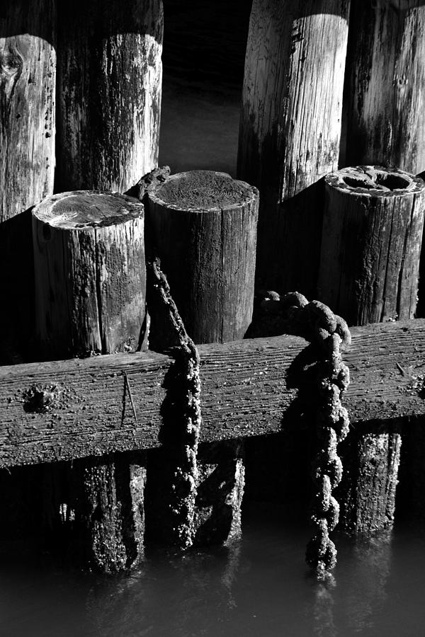 San Francisco Photograph - Chained for Life by Joe Bledsoe