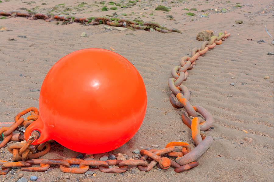 Chained Orange Photograph by Semmick Photo