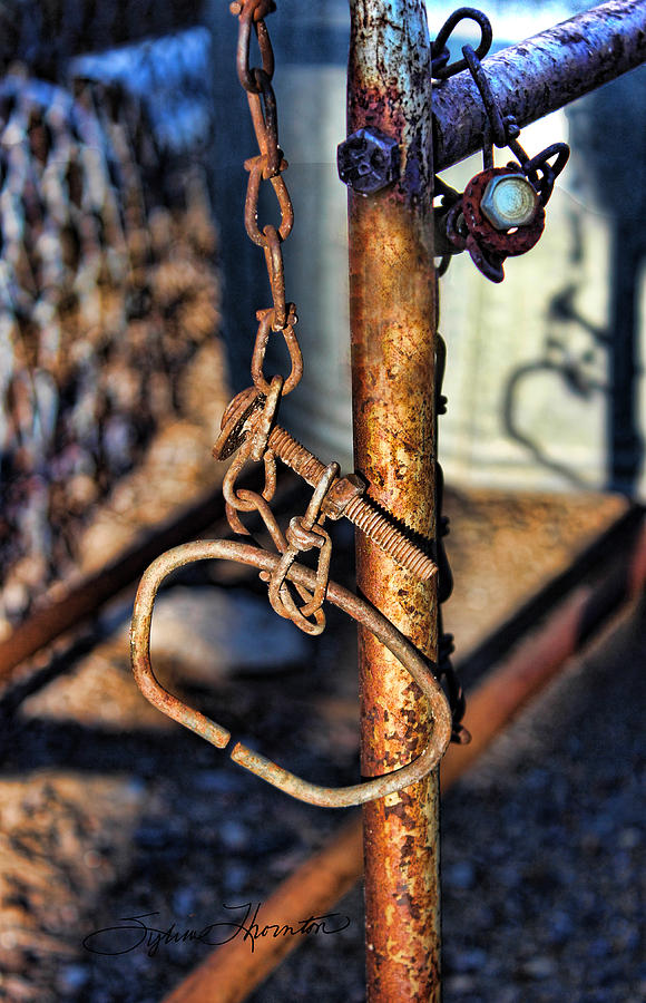 Chained Photograph by Sylvia Thornton