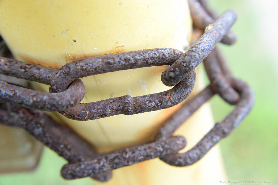Chained Photograph by Teresa Blanton