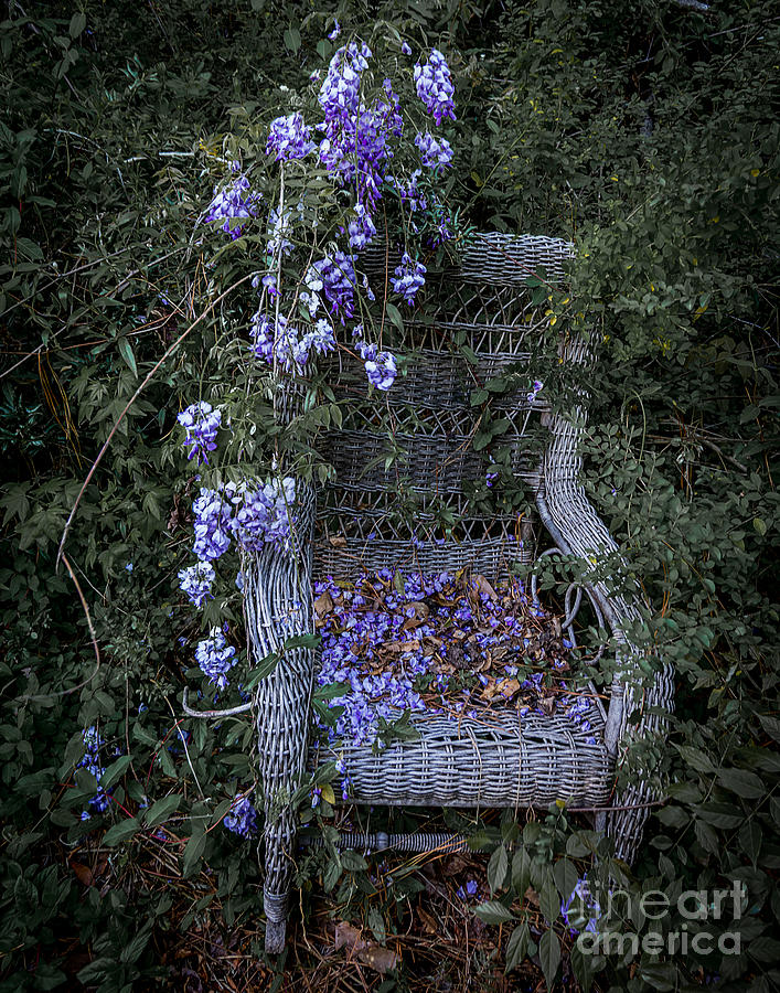 Chair and Flowers Photograph by Ken Frischkorn