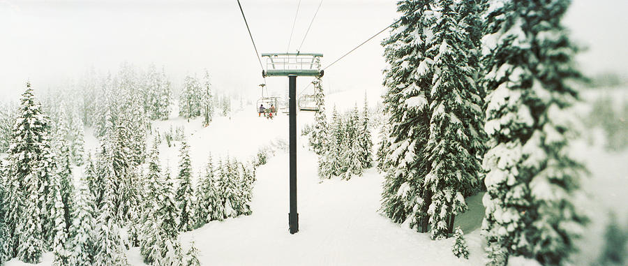 Chair Lift And Snowy Evergreen Trees Photograph by Panoramic Images