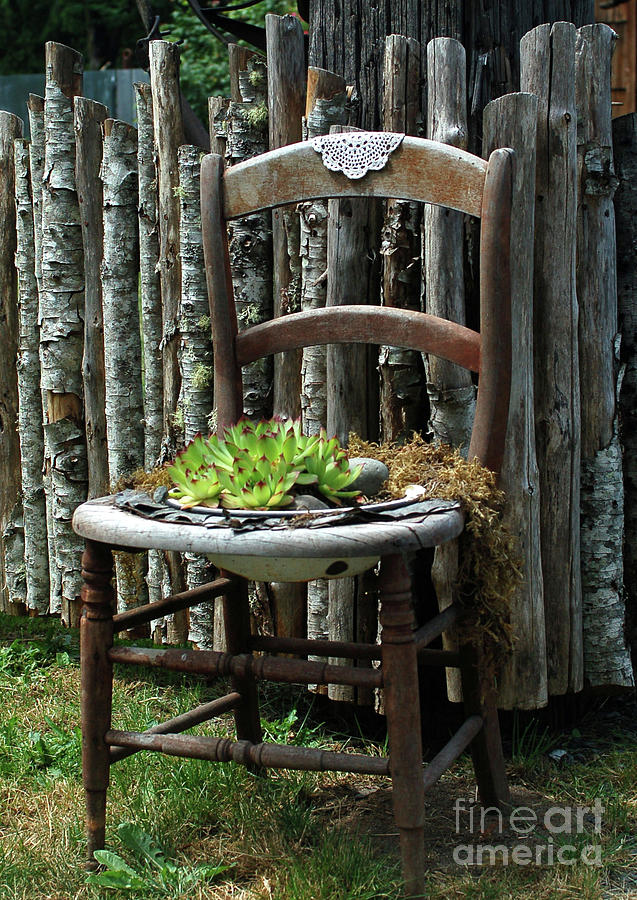 Chair planter Photograph by Ron Roberts