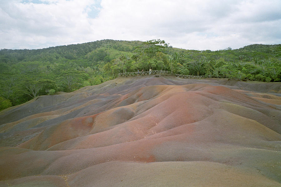 Chamarel Coloured Earths Photograph by Cristina Pedrazzini/science Photo Library