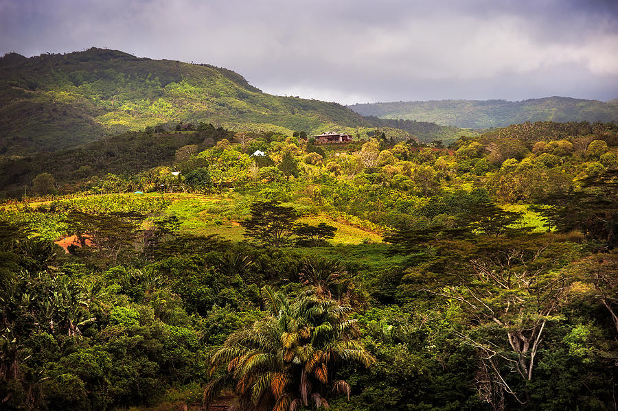 Chamarel. Mauritius Photograph by Jenny Rainbow