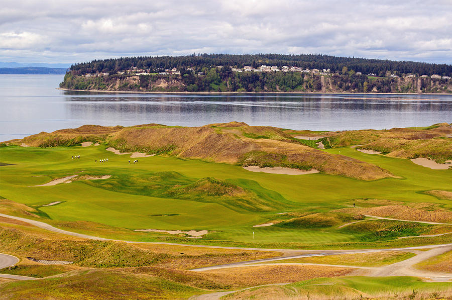 Chambers Bay Golf Course III Photograph by Tikvahs Hope
