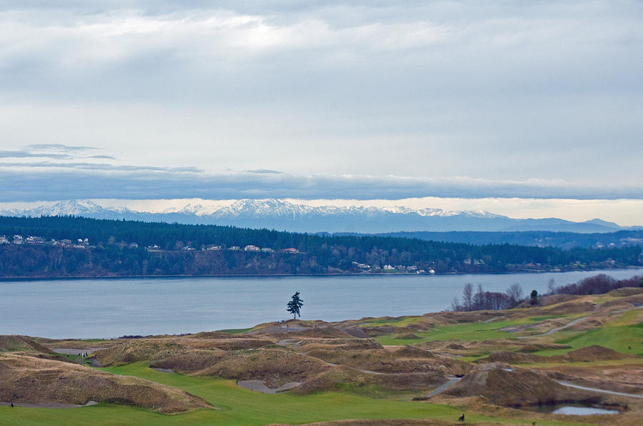 Chambers Bay Golf Course Photograph by Tikvahs Hope