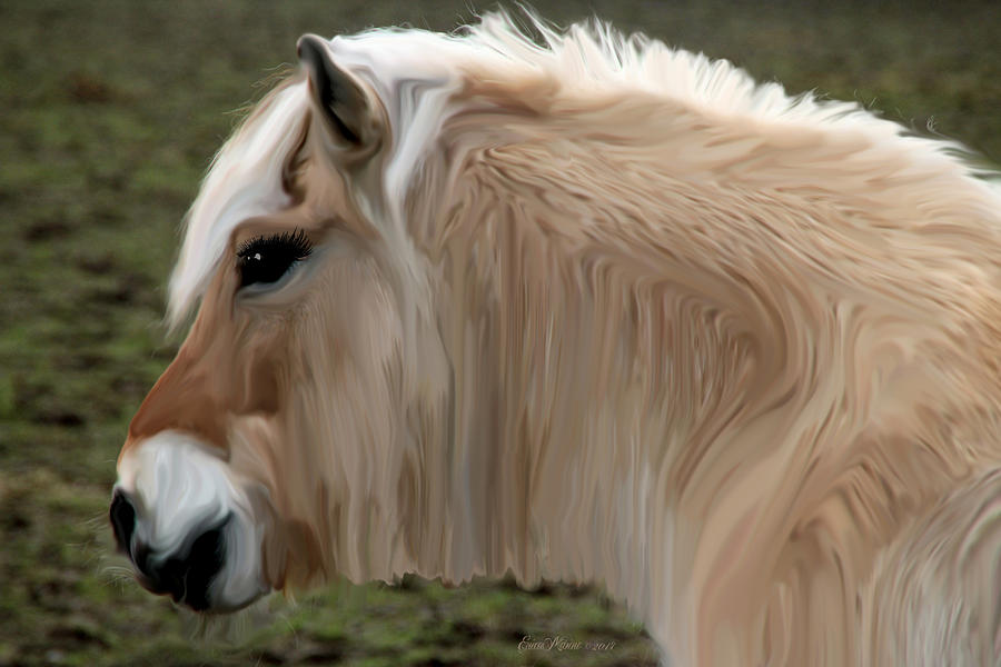 Horse Photograph - Chamois 2 by Ericamaxine Price