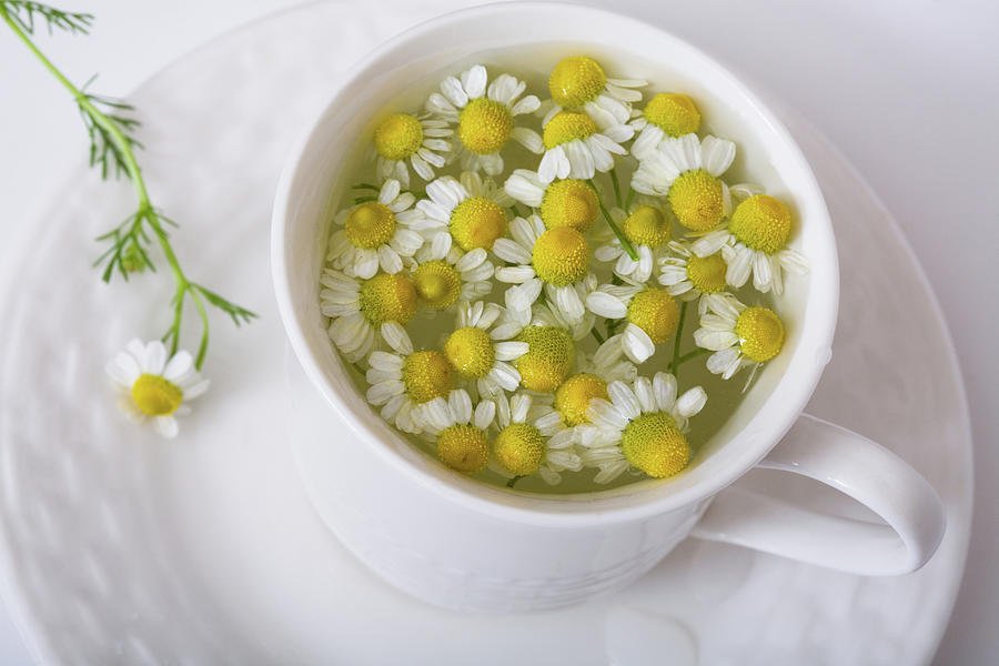Chamomile Tea Photograph by Diane Macdonald Chamomile Tea Photograph by Diane Macdonald