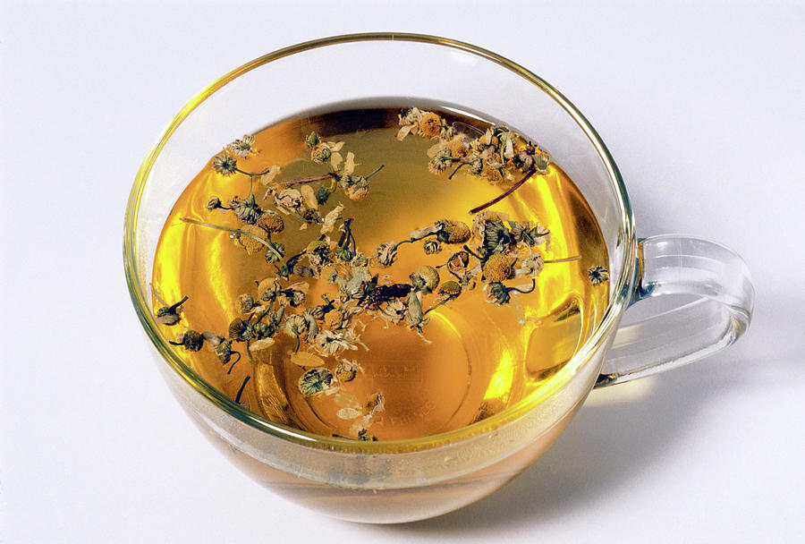 Tea Photograph - Chamomile Tea by Th Foto-werbung/science Photo Library