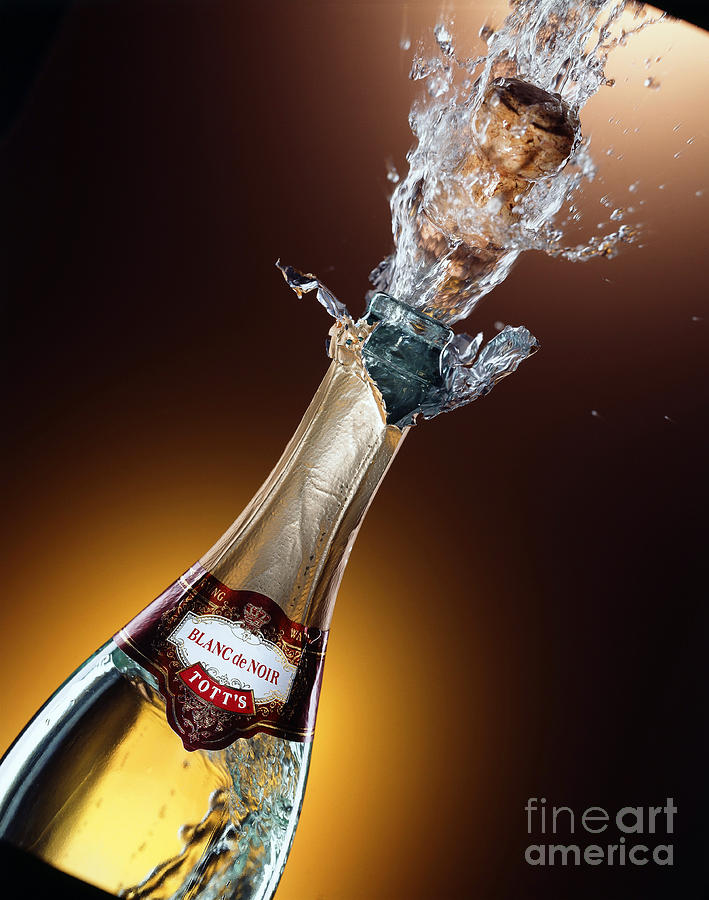 Champagne Photograph by Mel Lindstrom
