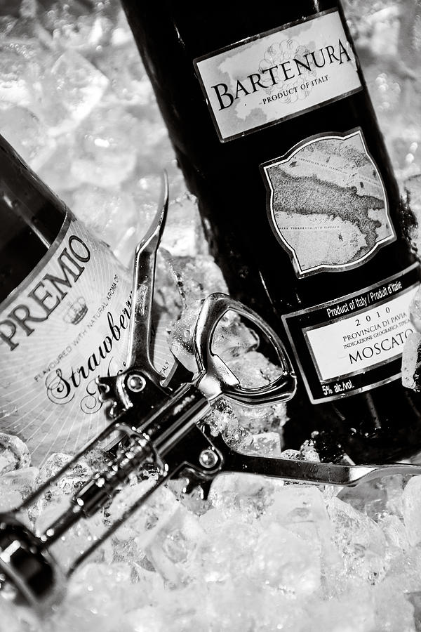 Wine Photograph - Champagne on Ice by Sennie Pierson