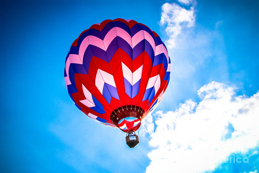 Basket Photograph - Champion Hot Air Balloon by Grace Grogan