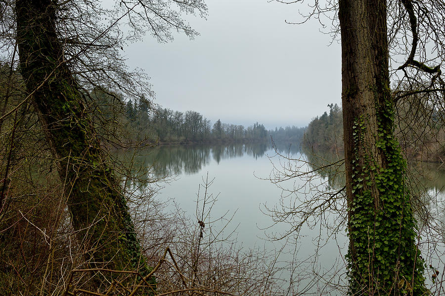 Champoeg Park Overlooking the Willamette River Photograph by Belinda Greb
