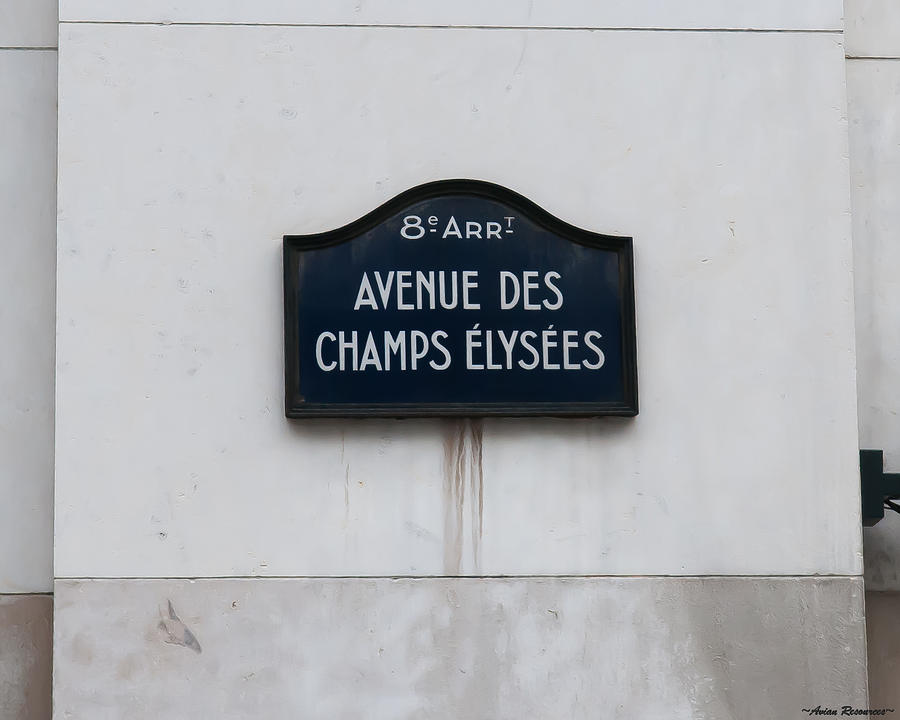 Champs Elysees Photograph by Avian Resources