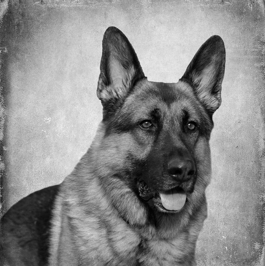 Chance - Black and White Photograph by Sandy Keeton