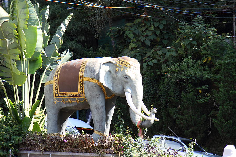 Elephant Photograph - Chang Statue - Wat Phrathat Doi Suthep - Chiang Mai Thailand - 01131 by DC Photographer