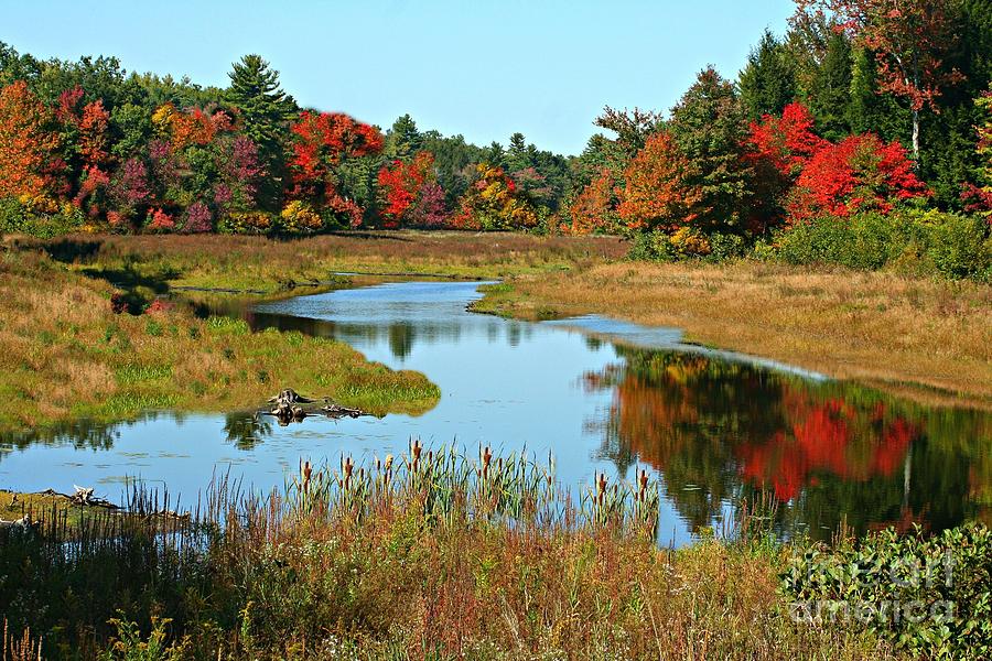 Fall Photograph - Change In New Hampshire by Barbara S Nickerson