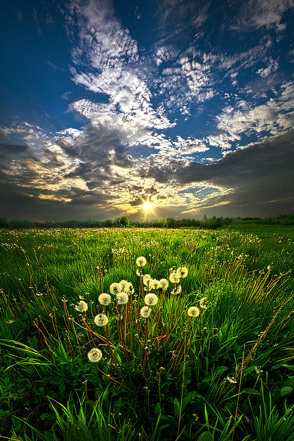 Change of Season Photograph by Phil Koch - Fine Art America