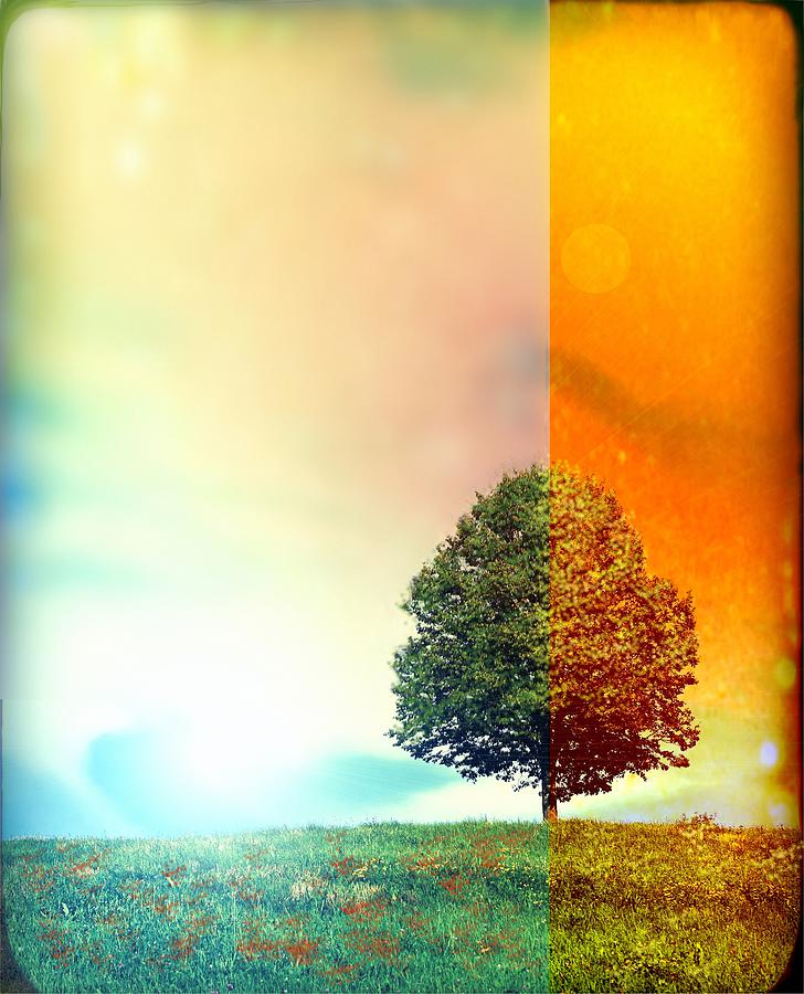 Change of the Seasons - The Moment when Summer meets with Fall Digital Art by Lilia D