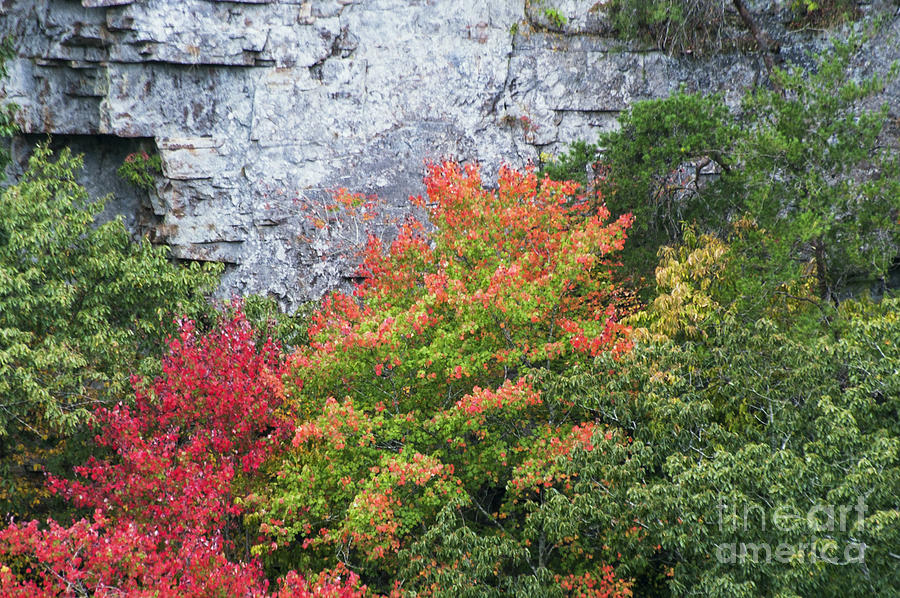 Changing Color in Little River Canyon Photograph by Bob Phillips