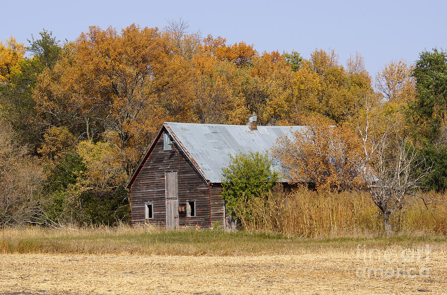 Barn Photograph - Changing colors by Lori Tordsen