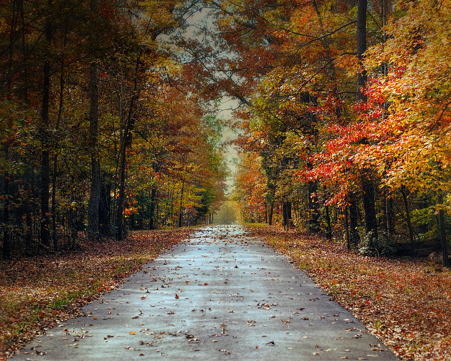 Changing Season 2 - Autumn Landscape Photograph by Jai Johnson