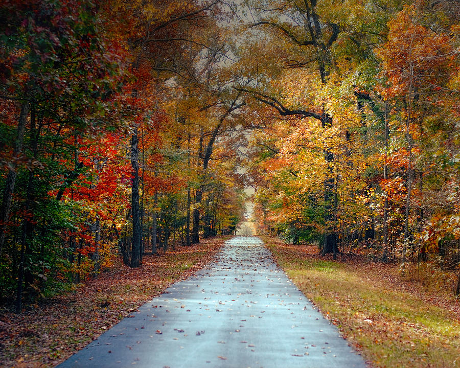 Changing Season - Autumn Landscape Photograph by Jai Johnson