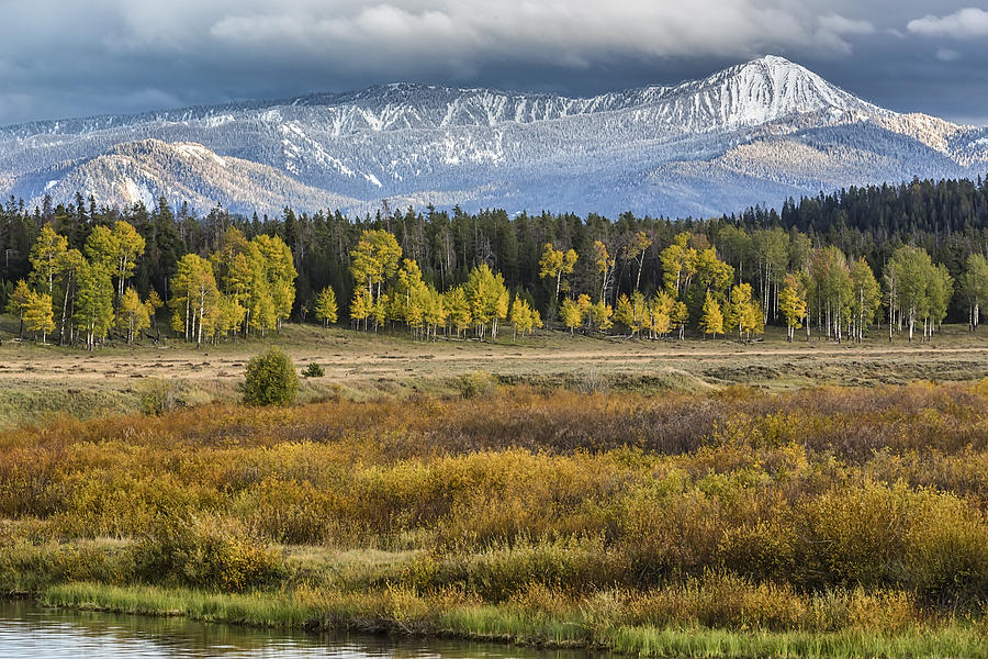 Grand Teton National Park Photograph - Changing Seasons by Jennifer Grover