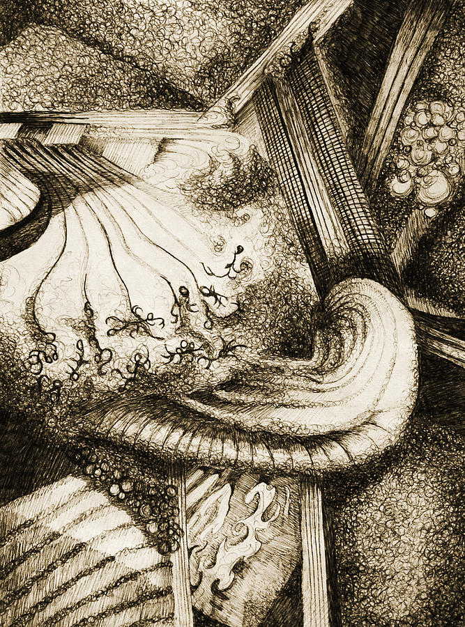 Chaos Drawing - Chaos by Sara Coolidge Chaos Drawing - Chaos by Sara Coolidge