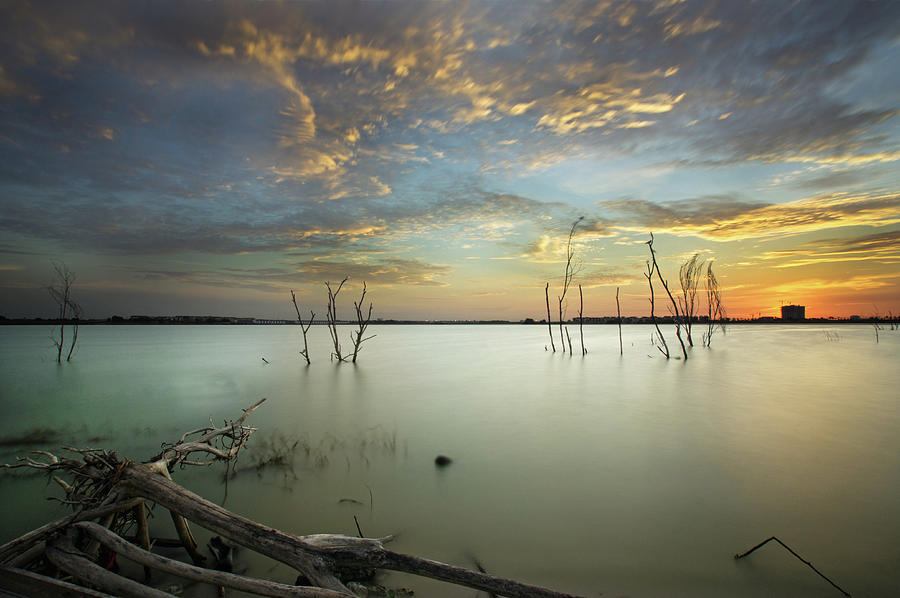 Chaos - The Sunset Upon Dead Tree Photograph by Thanwan Singh Pannu