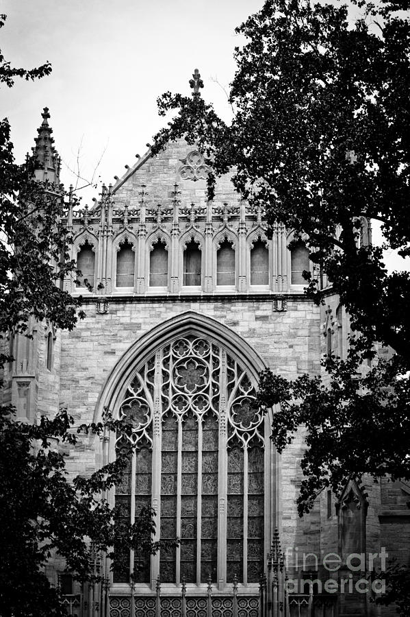 Chapel - Princeton University Photograph by Colleen Kammerer