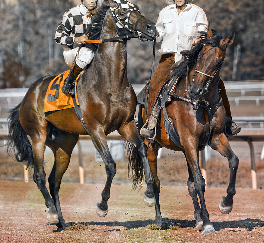 Horse Photograph - Chaperoned  by Betsy Knapp