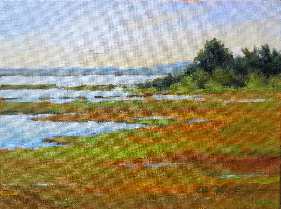 Chappaquiddick Marshes Painting by Claire Beadon Carnell - Fine Art America