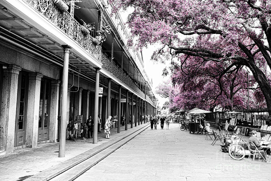Characteristics of New Orleans-V13 Photograph by Douglas Barnard