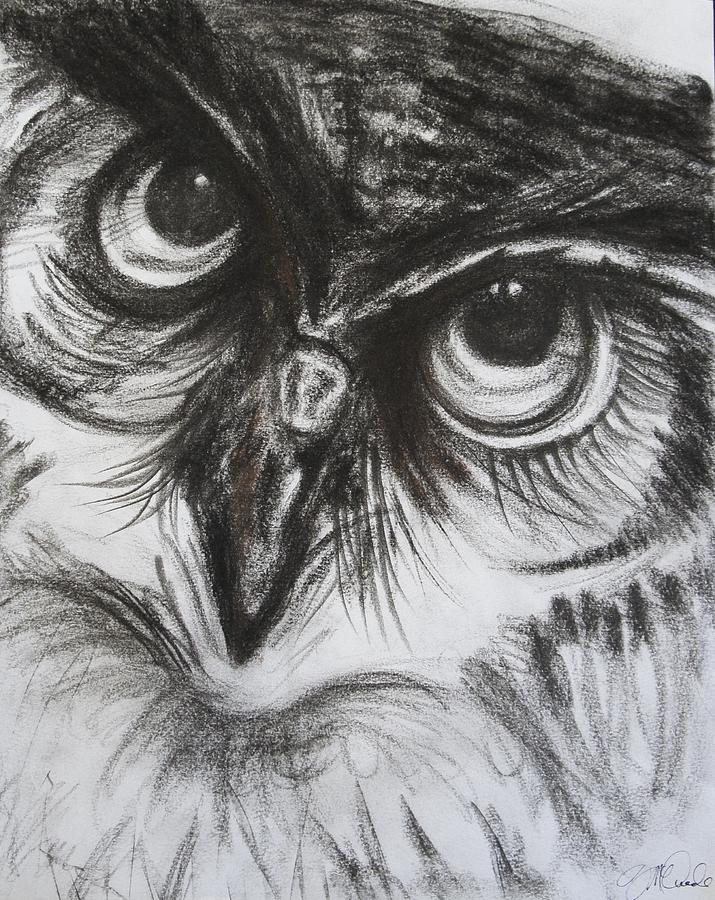 Charcoal Owl Drawing