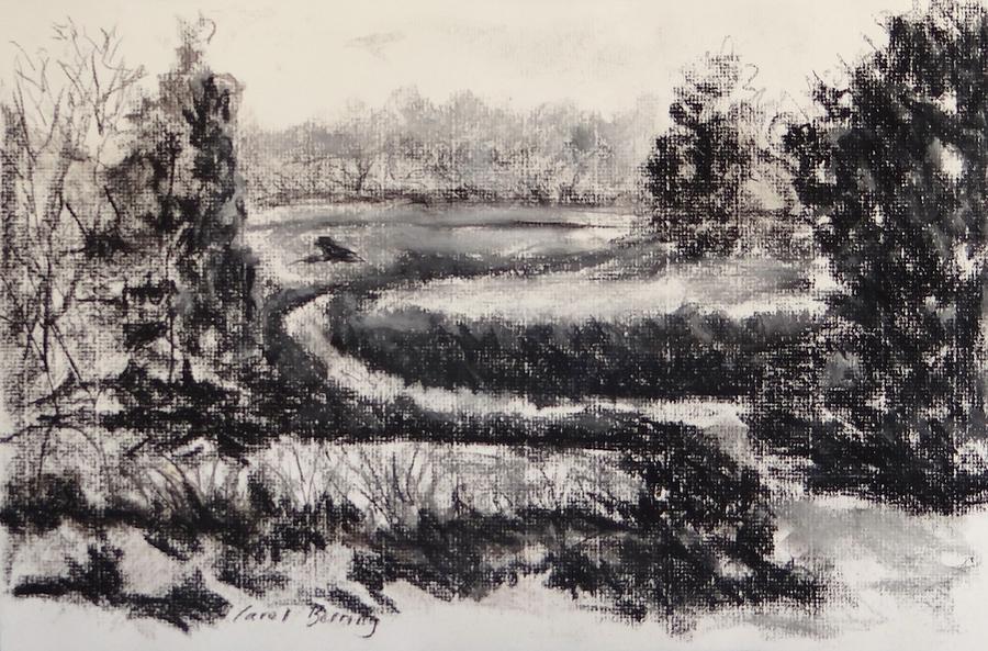Charcoal Plein Air Landscape Painting by Carol Berning