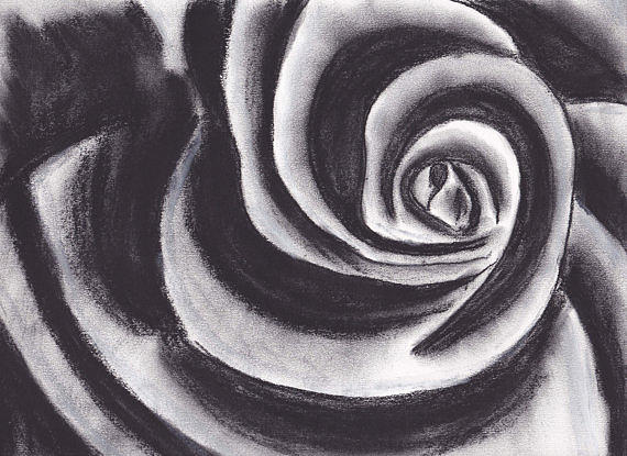 charcoal simple pencil rose drawing